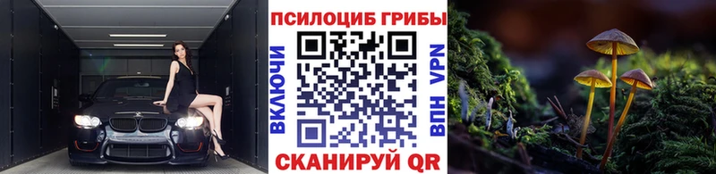 мега зеркало  Апатиты  Псилоцибиновые грибы Magic Shrooms 